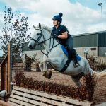 What Are the ‘Wings’ of a Horse Jump?